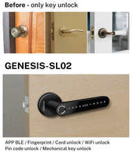 Load image into Gallery viewer, [FREE Installation] GENESIS SL02 Smart Lever Lock
